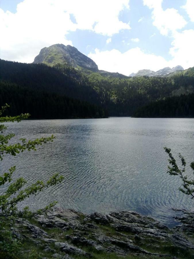 Apartments Durmitor Žabljak Exterior foto